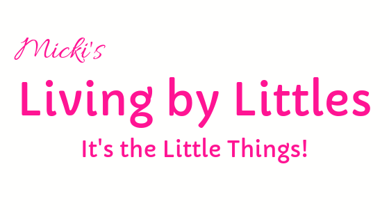 HOW TO CONQUER LAUNDRY - Living by Littles