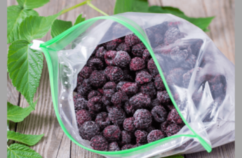 Purple berries in a zip top bag