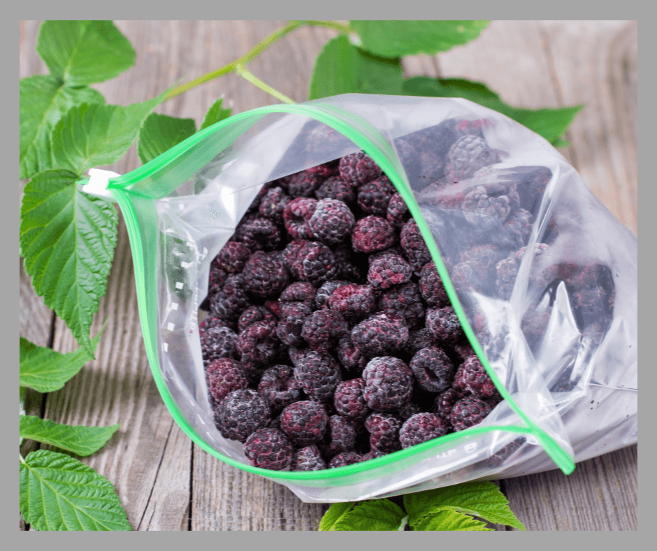 Purple berries in a zip top bag