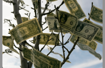 dollar bills growing on trees
