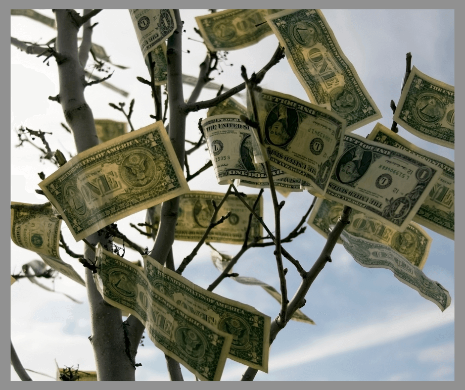 dollar bills growing on trees