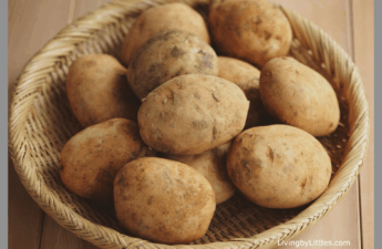 A bunch of potatoes in a bowl