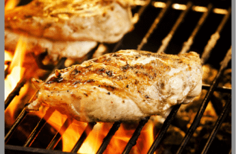 Chicken Breasts on a grill